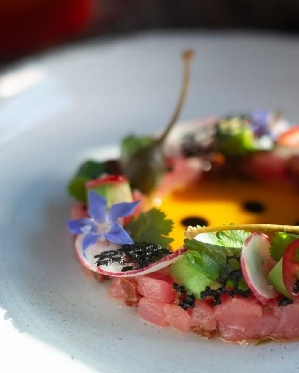 The first course: raw fish, citrus, a little heat